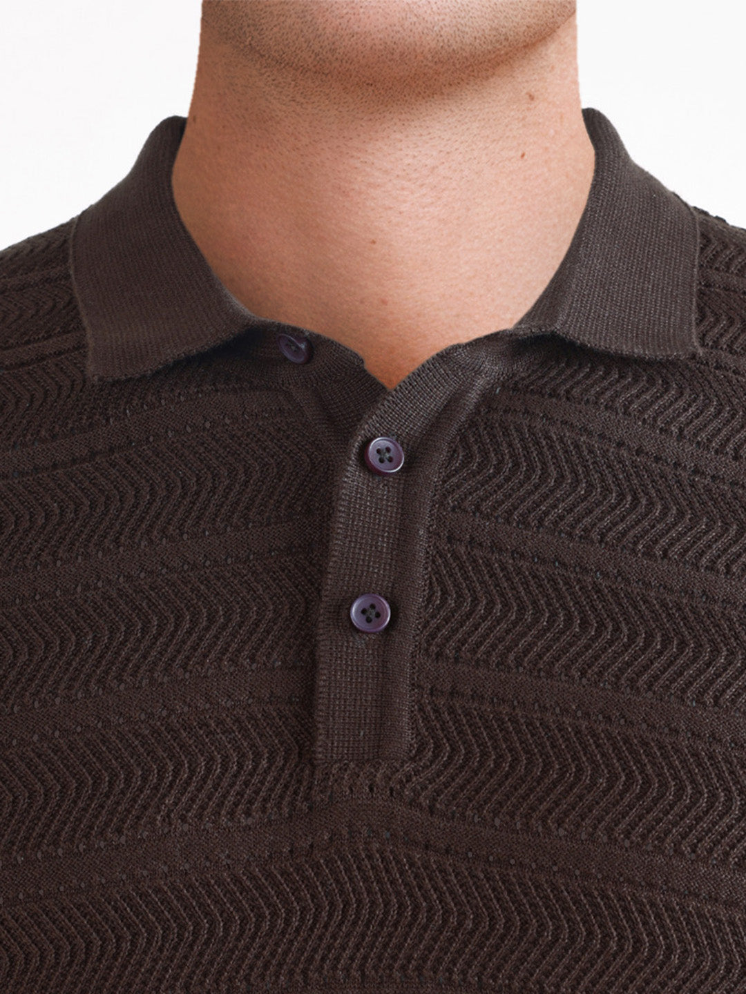Men's Brown Slim Fit Solid Casual Polos T-Shirt