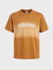 Men's Brown Oversized Fit Graphic Printed Casual T-Shirt