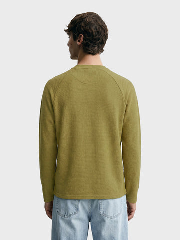 Men's Green Regular Fit Solid Casual T-Shirt