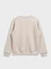 Men's Beige Relaxed Fit Embroided Casual Sweatshirt