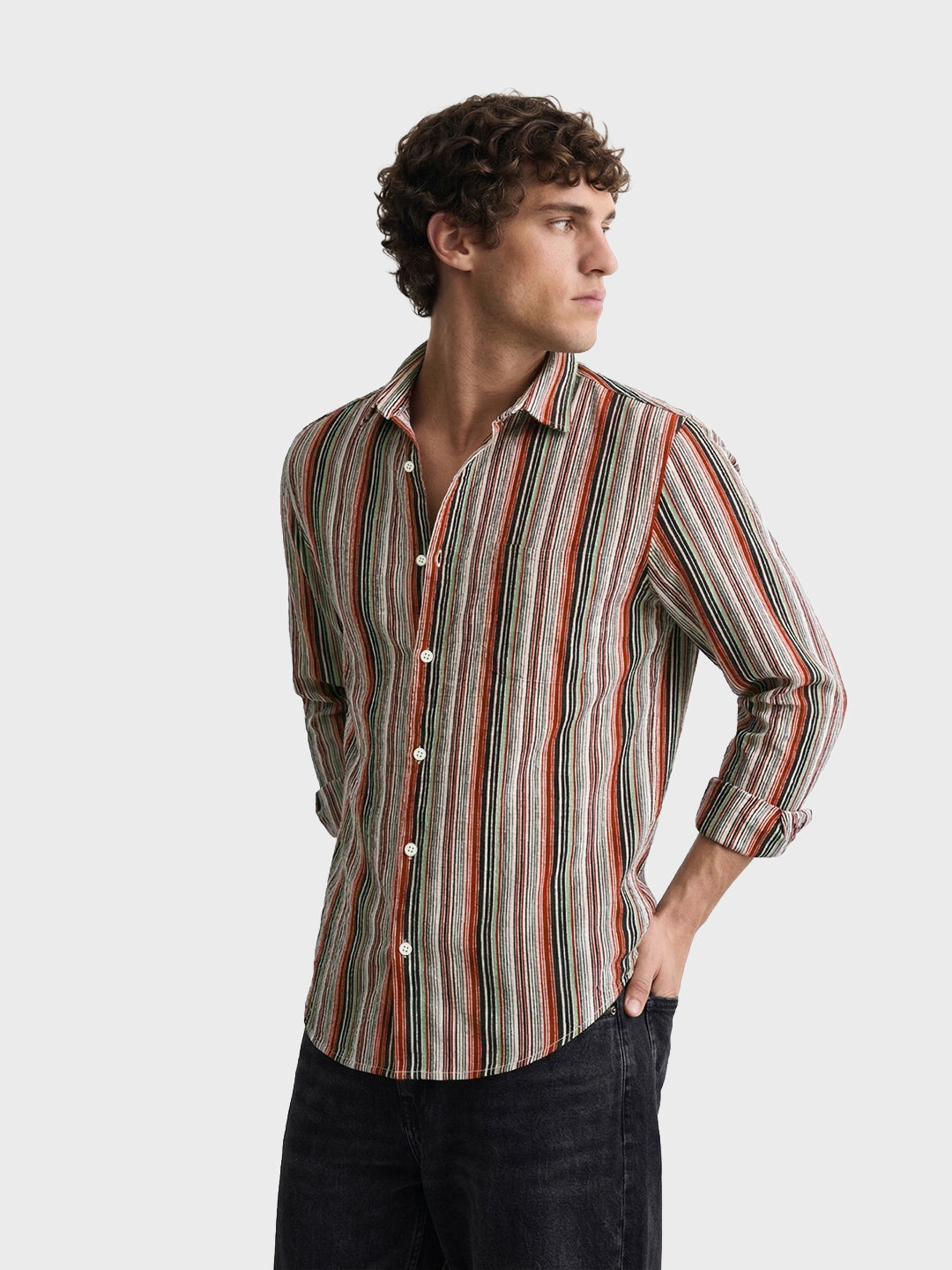 Men's Multicolor Regular Fit Striped Casual Shirt