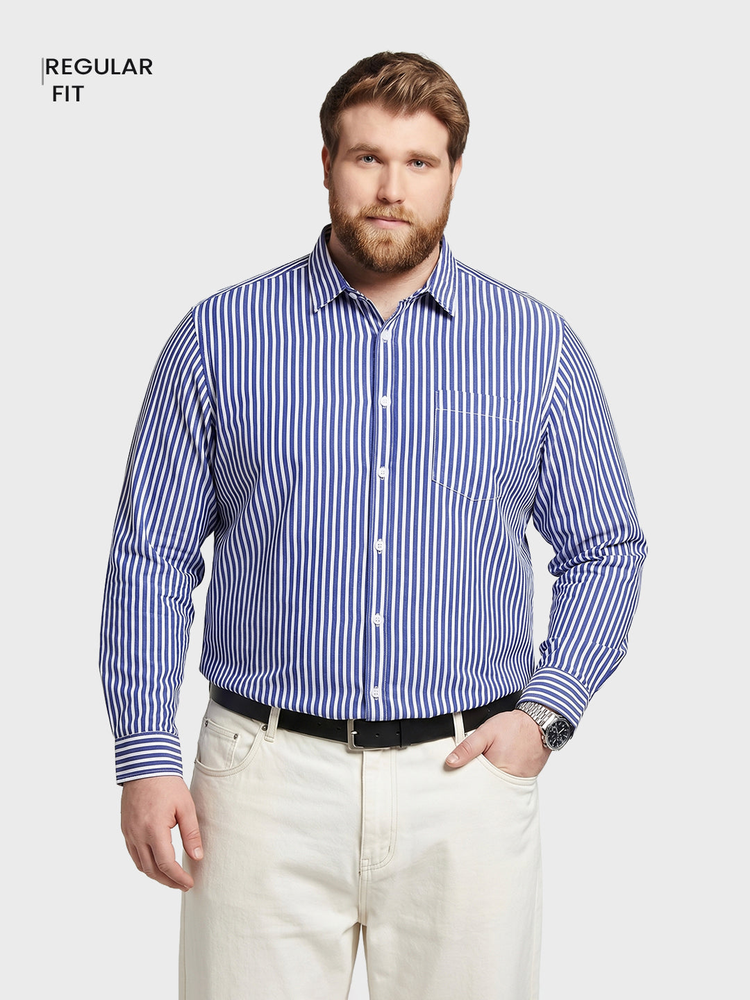 Men's Blue Regular Fit Striped Casual Shirt