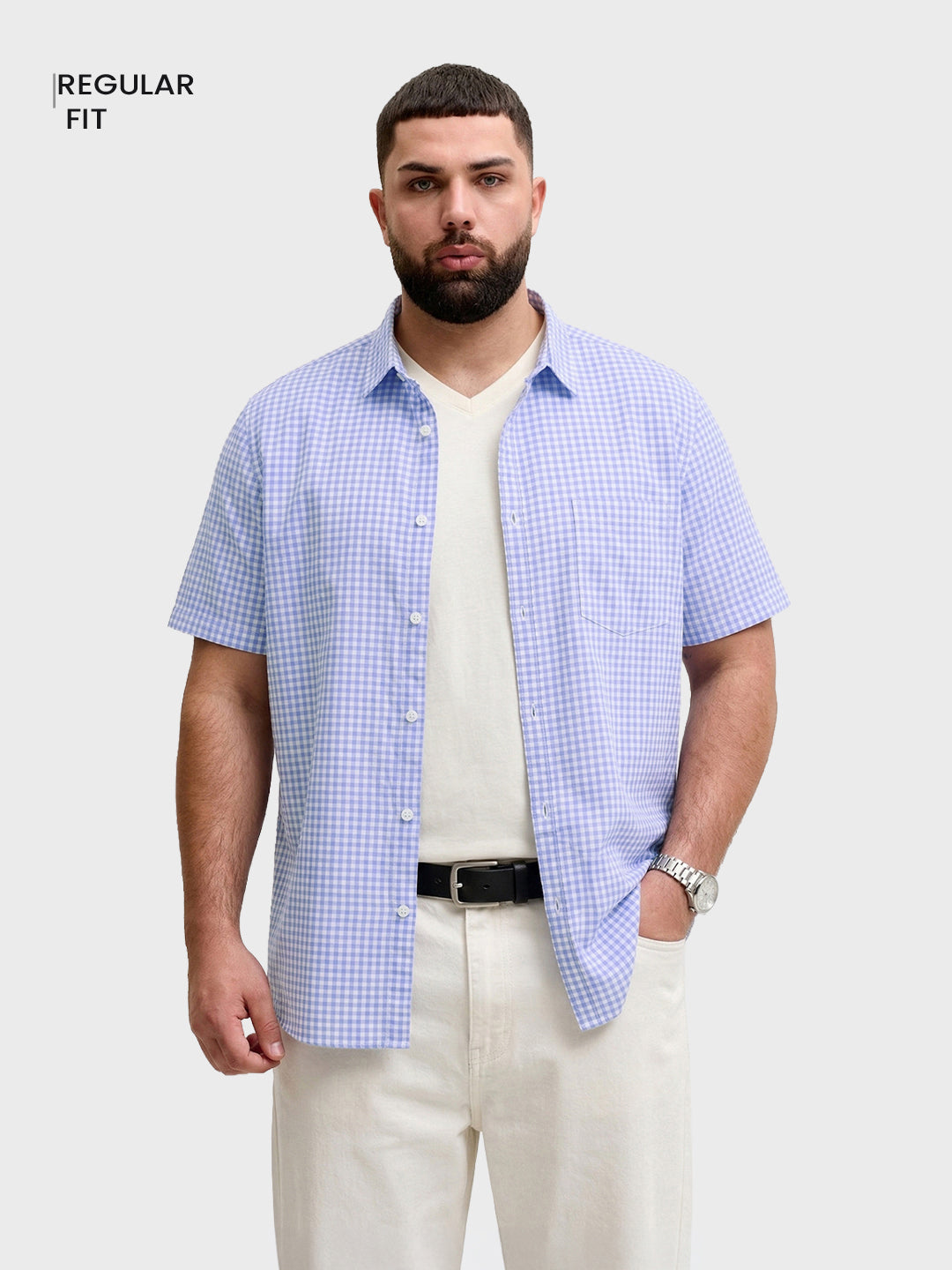 Men's Blue Regular Fit Checkered Casual Shirt