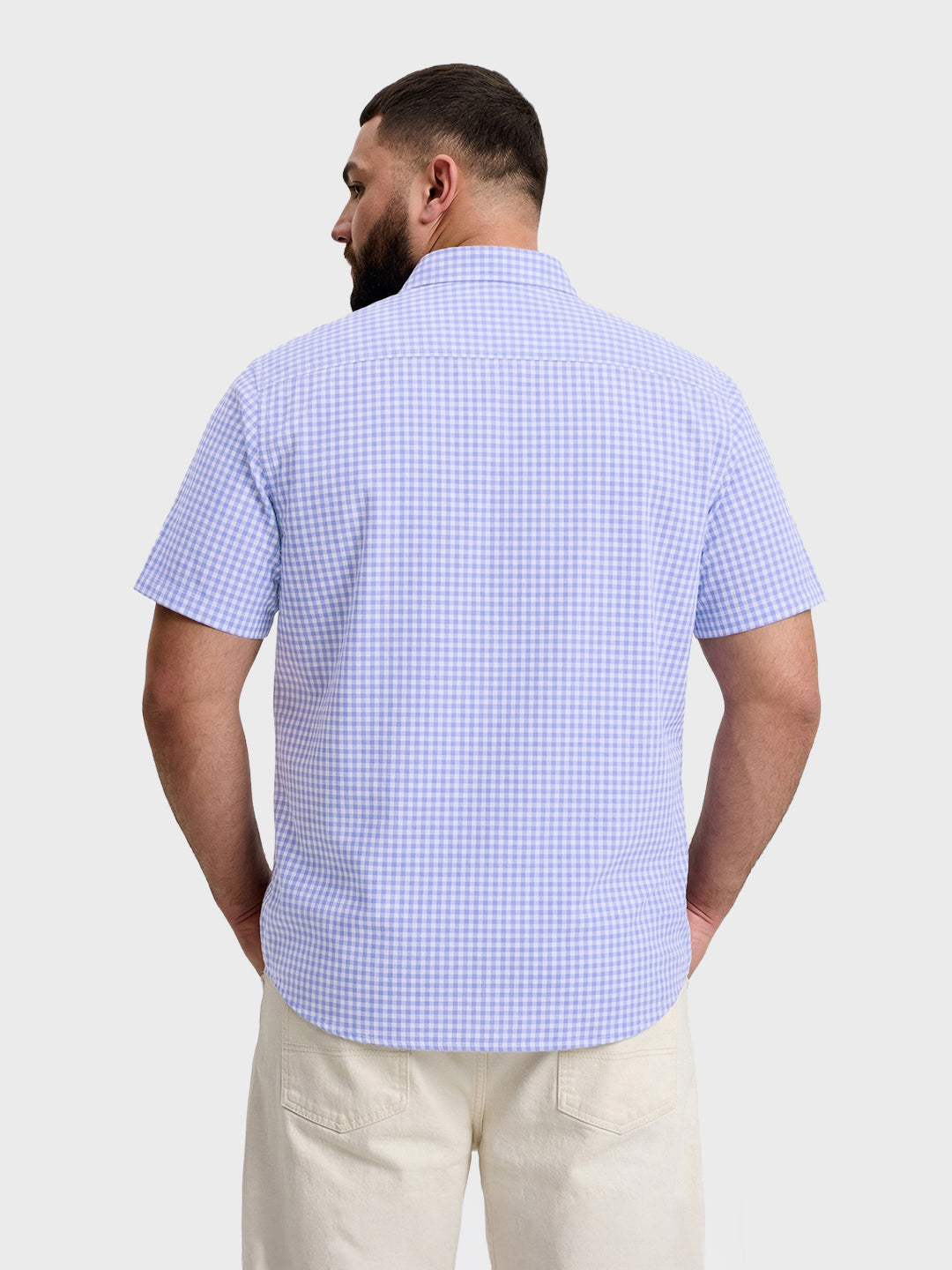 Men's Blue Regular Fit Checkered Casual Shirt