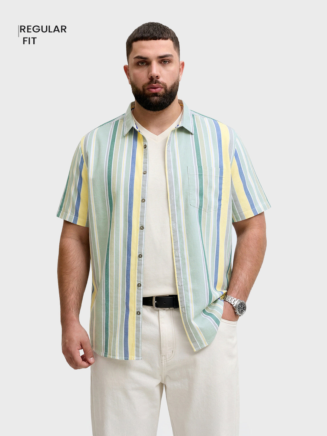Men's Green Regular Fit Striped Casual Shirt