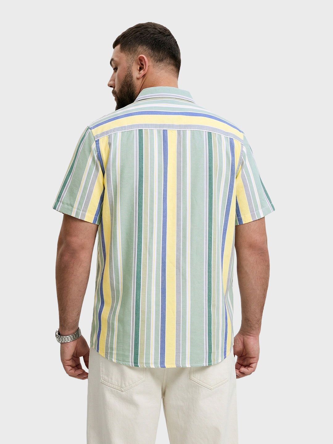 Men's Green Regular Fit Striped Casual Shirt