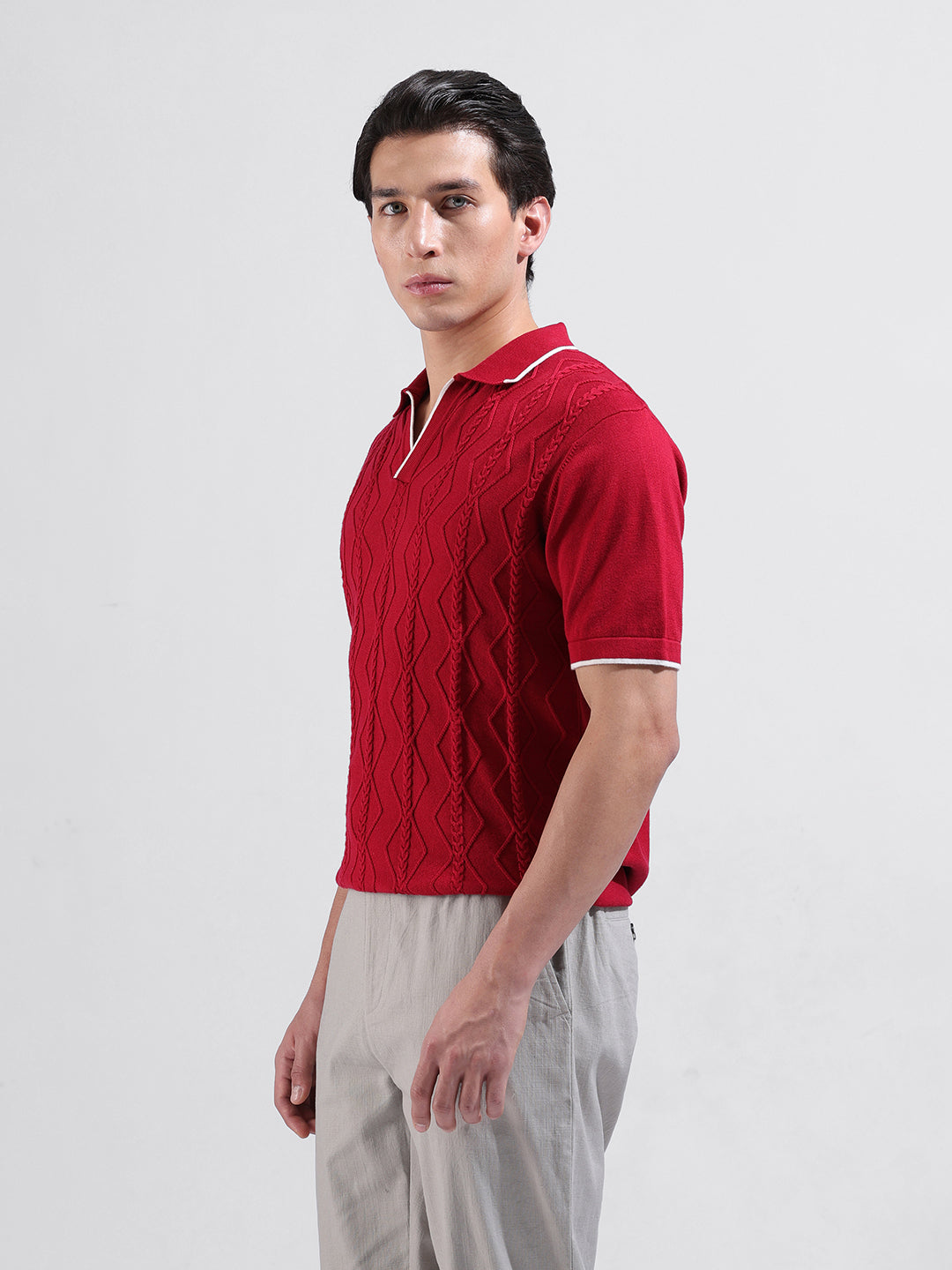 Men's Maroon Slim Fit Textured Flat Knit Polo Neck T-Shirt
