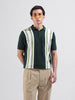 Men's Green Slim Fit Textured Flat Knit Polo Collar T-Shirt