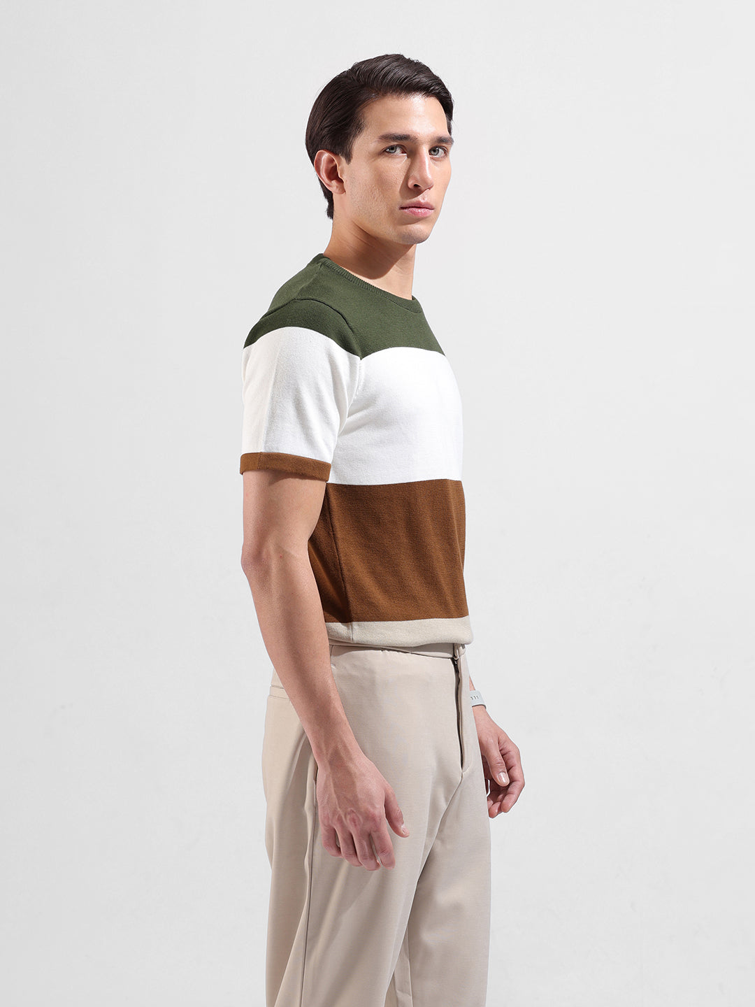 Men's Beige Slim Fit Colourblocked Flat Knit Crew Neck T-Shirt