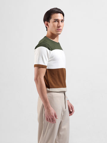 Men's Beige Slim Fit Colourblocked Flat Knit Crew Neck T-Shirt