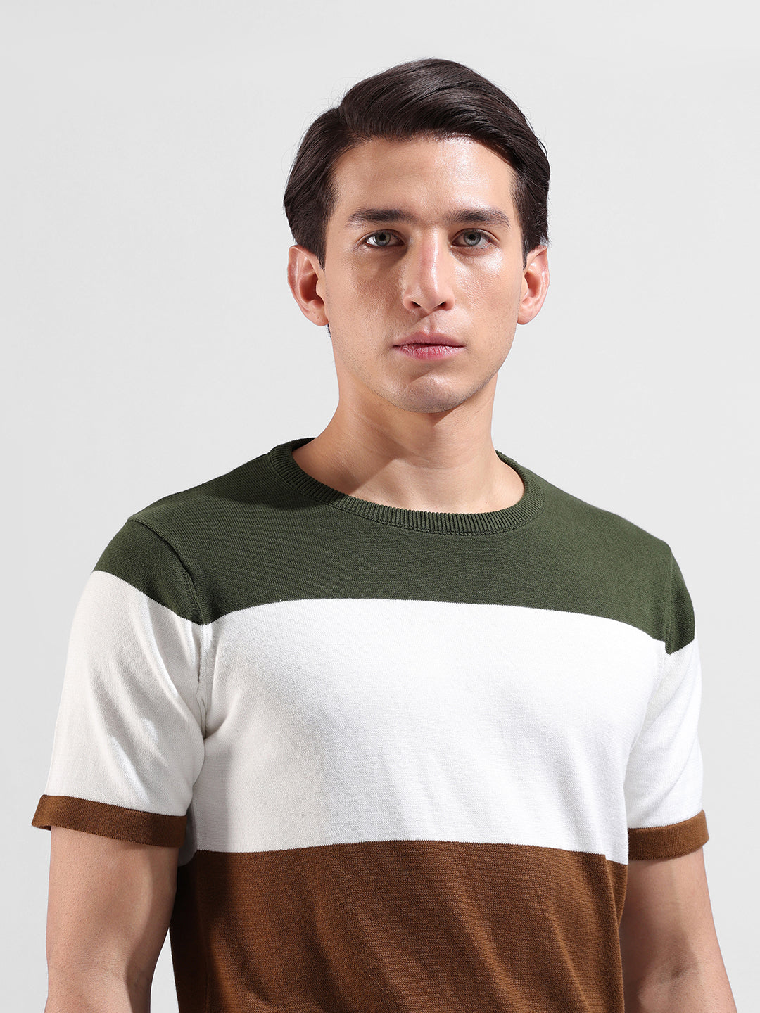 Men's Beige Slim Fit Colourblocked Flat Knit Crew Neck T-Shirt