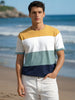Men's Multicolor Slim Fit Colourblocked Flat Knit Crew Neck T-Shirt