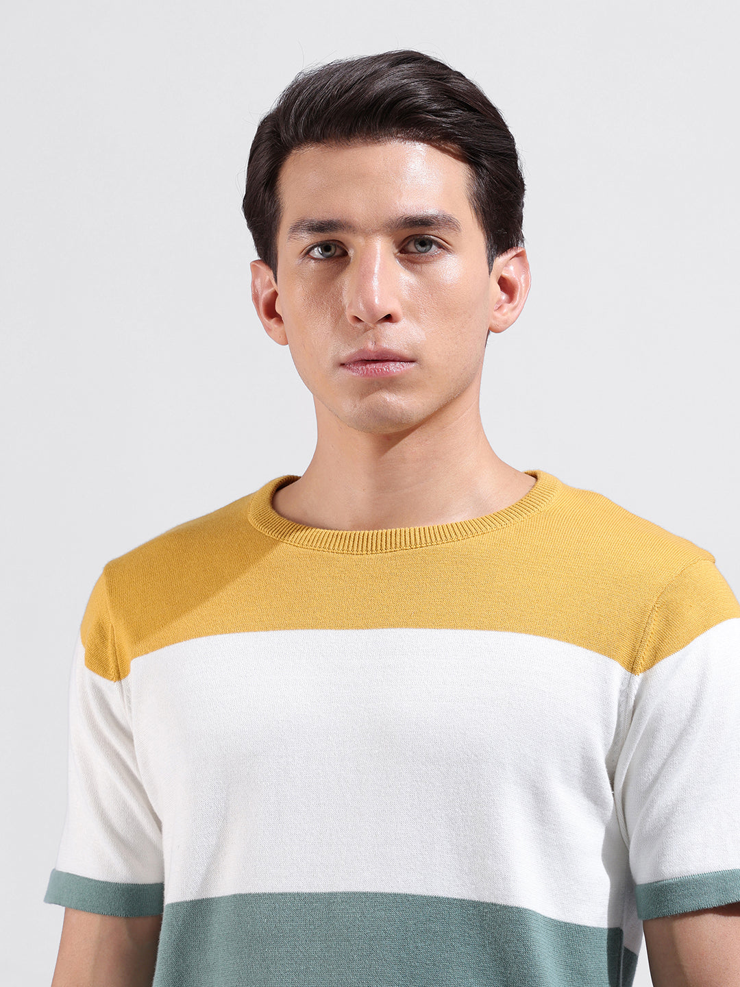 Men's Multicolor Slim Fit Colourblocked Flat Knit Crew Neck T-Shirt