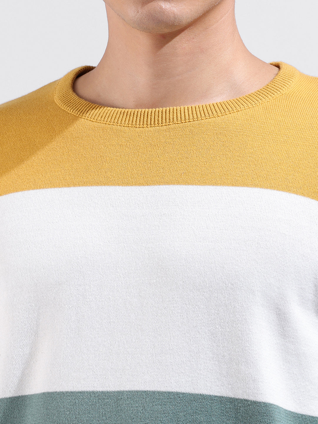 Men's Multicolor Slim Fit Colourblocked Flat Knit Crew Neck T-Shirt