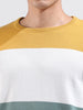 Men's Multicolor Slim Fit Colourblocked Flat Knit Crew Neck T-Shirt