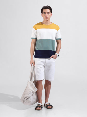 Men's Multicolor Slim Fit Colourblocked Flat Knit Crew Neck T-Shirt