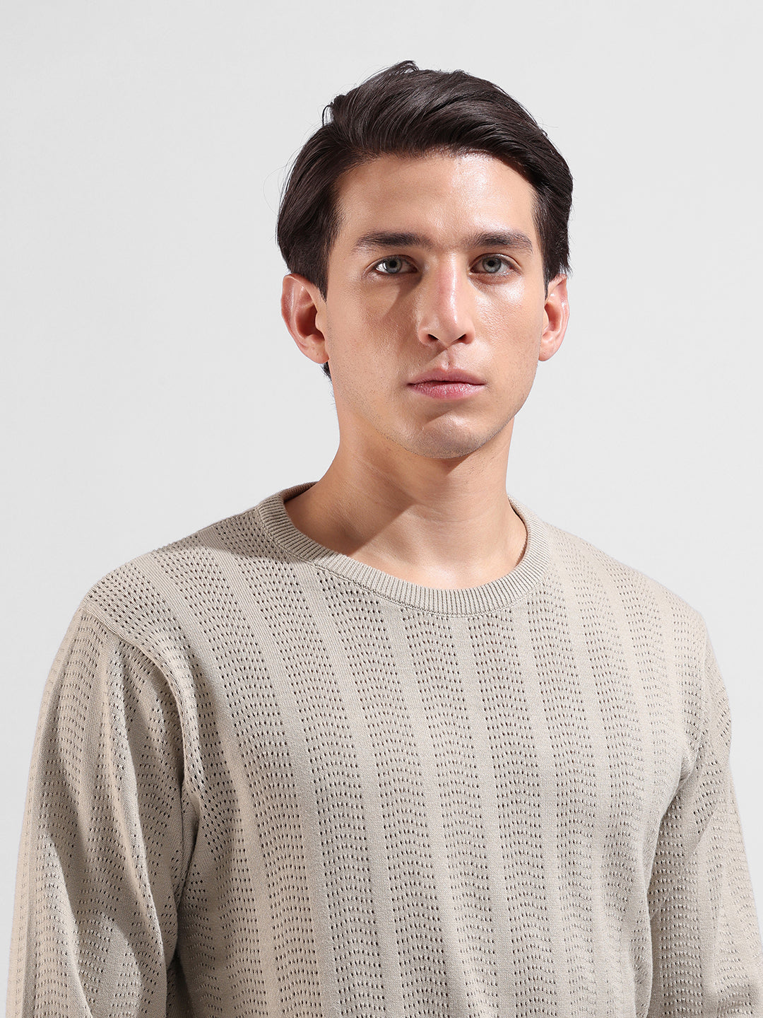 Men's Beige Slim Fit Striped Flat Knit Crew Neck T-Shirt