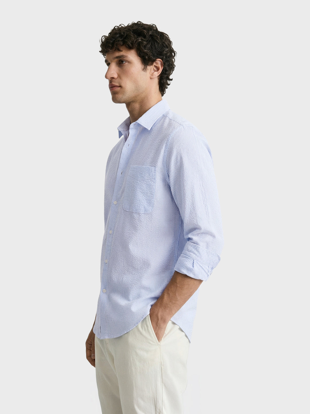 Men's Blue Regular Fit Striped Casual Shirt