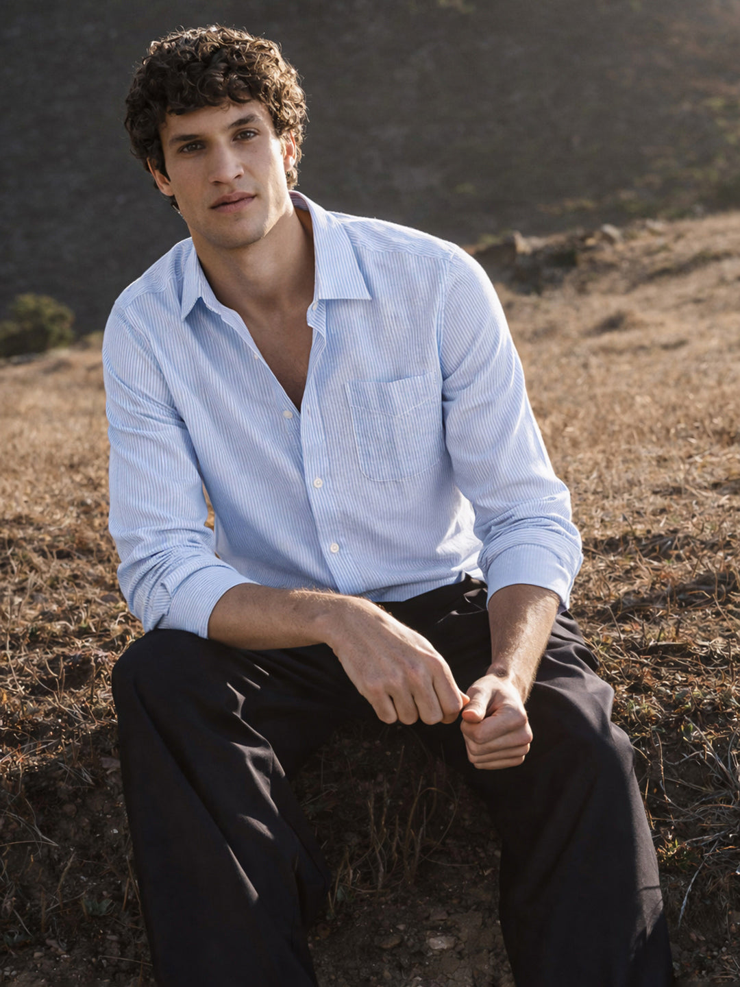 Men's Blue Regular Fit Striped Casual Shirt