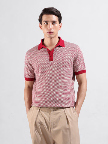 Men's Red Slim Fit Textured Flat Knit Polo Collar T-Shirt
