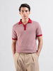 Men's Red Slim Fit Textured Flat Knit Polo Collar T-Shirt
