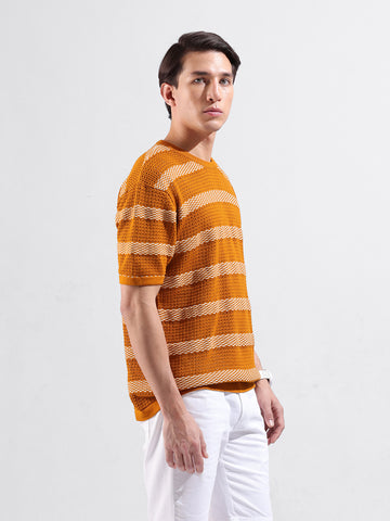 Men's Rust Oversized Fit Striped Flat Knit Polo Collar T-Shirt
