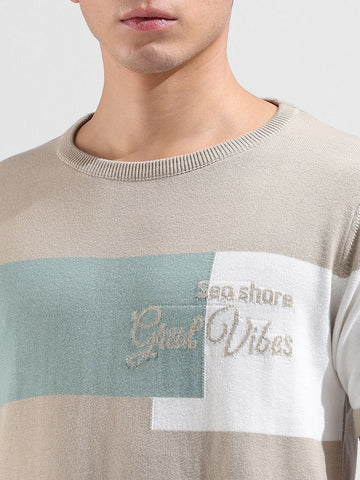 Men's Khaki Slim Fit Colourblocked Flat Knit Crew Neck T-Shirt