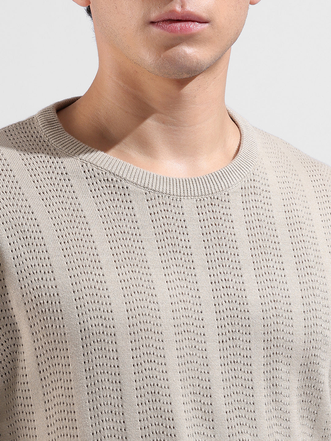 Men's Beige Slim Fit Striped Flat Knit Crew Neck T-Shirt