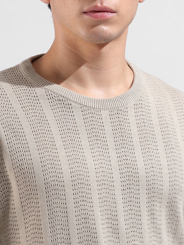 Men's Beige Slim Fit Striped Flat Knit Crew Neck T-Shirt