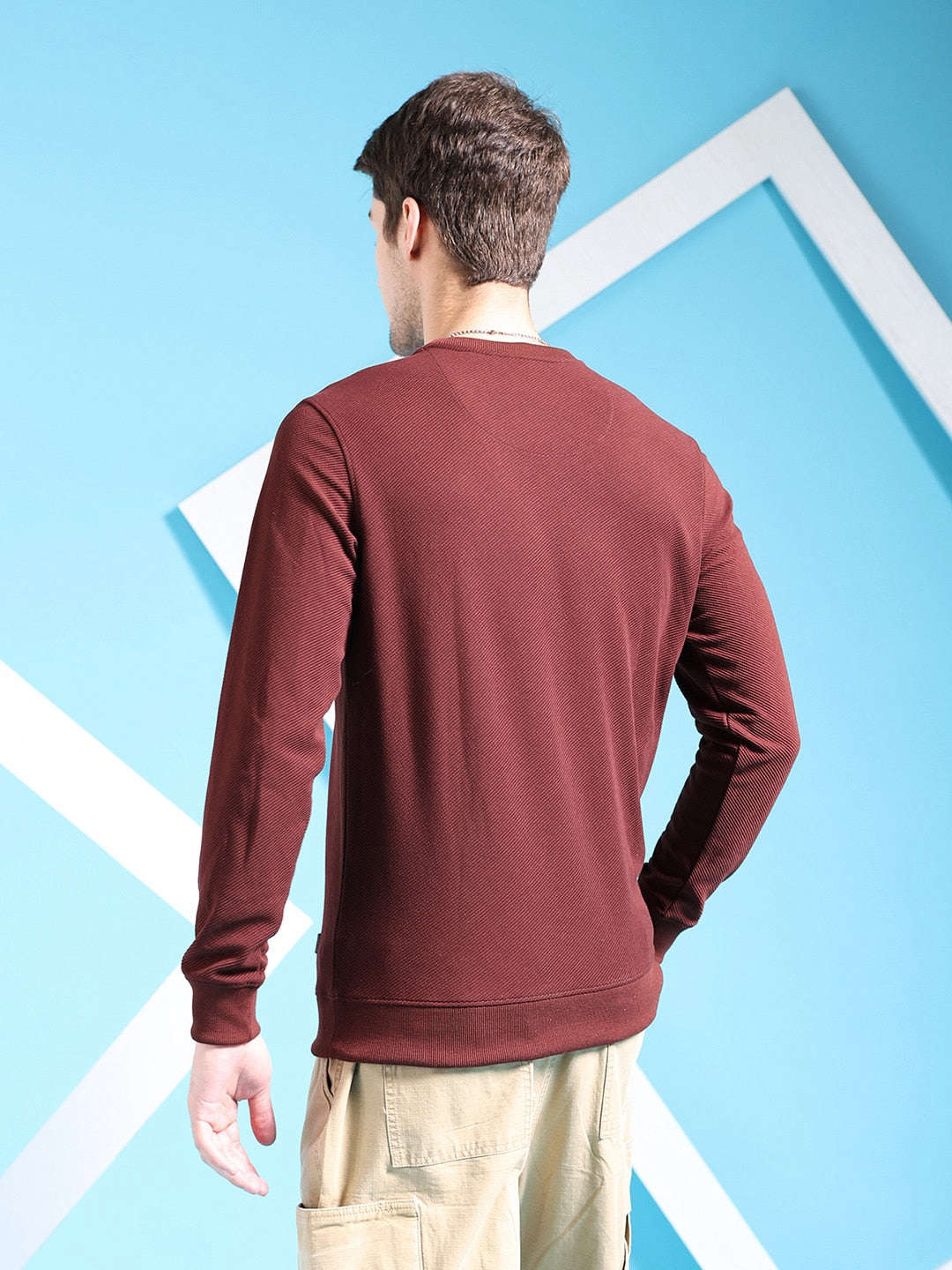 Shop Men's Textured Regular Fit Sweatshirt Online.