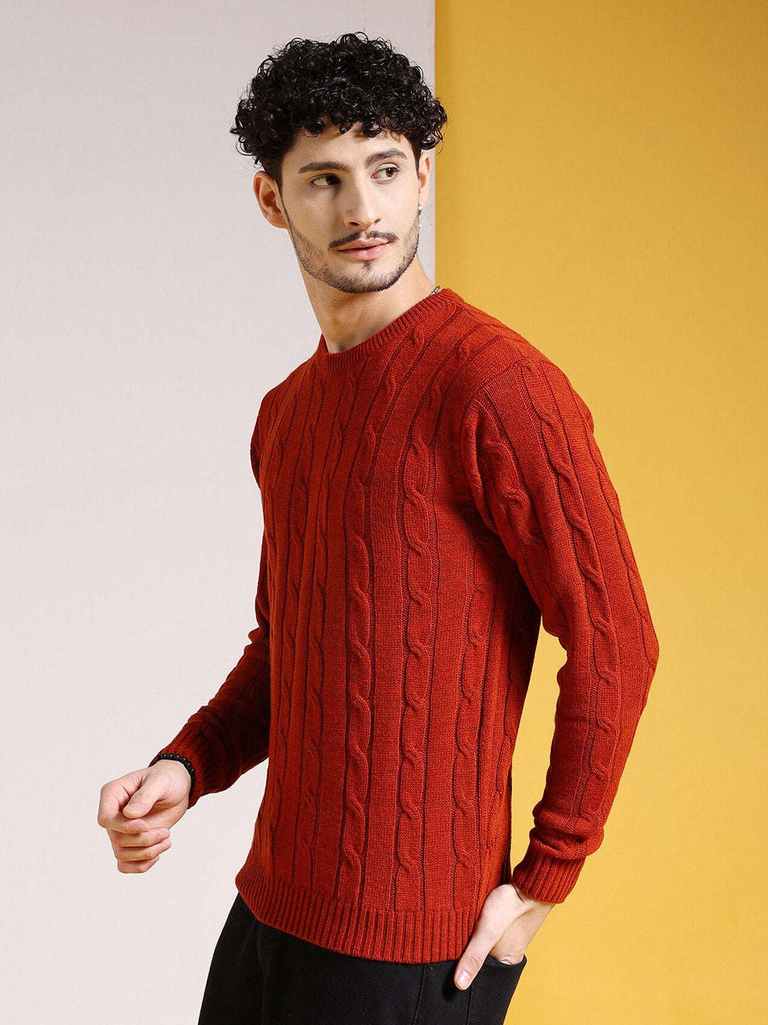 Shop Men's Knitted Regular Fit Sweater Online.