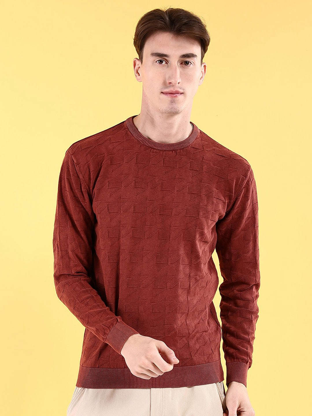 Shop Men's Textured Regular Fit Sweater Online.