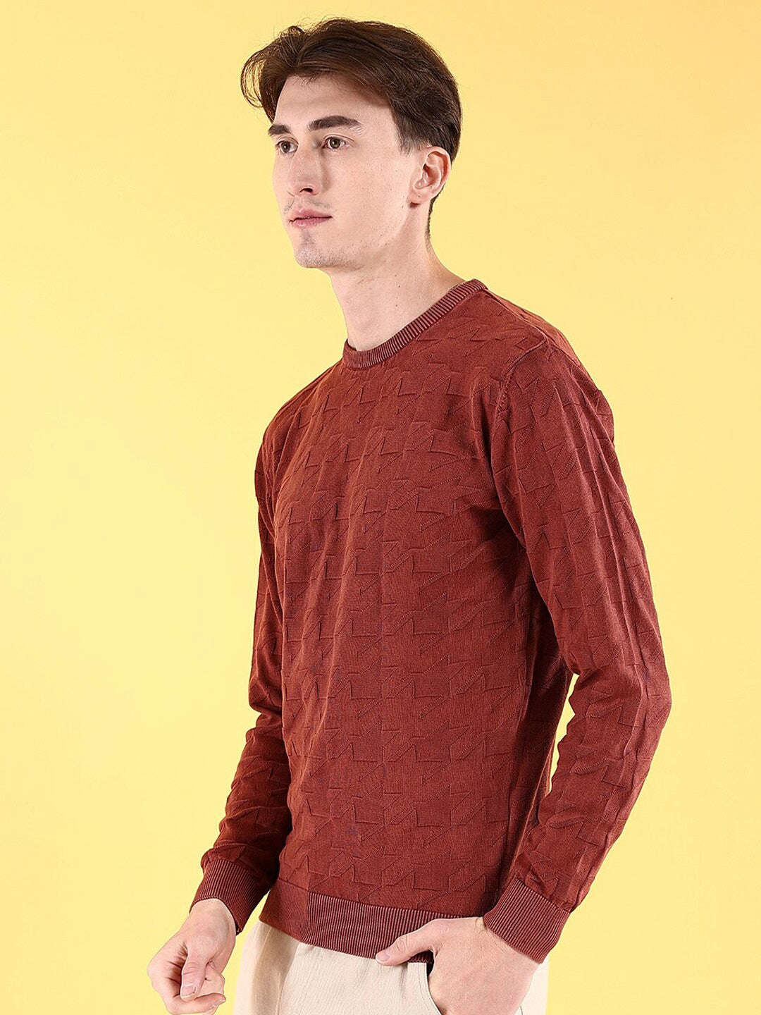 Shop Men's Textured Regular Fit Sweater Online.