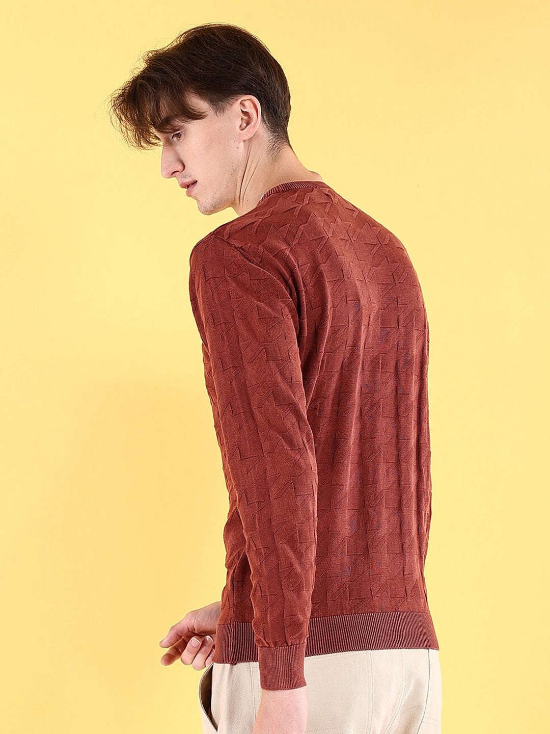 Shop Men's Textured Regular Fit Sweater Online.