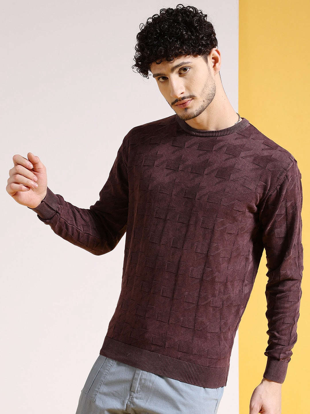 Shop Men's Textured Regular Fit Sweater Online.