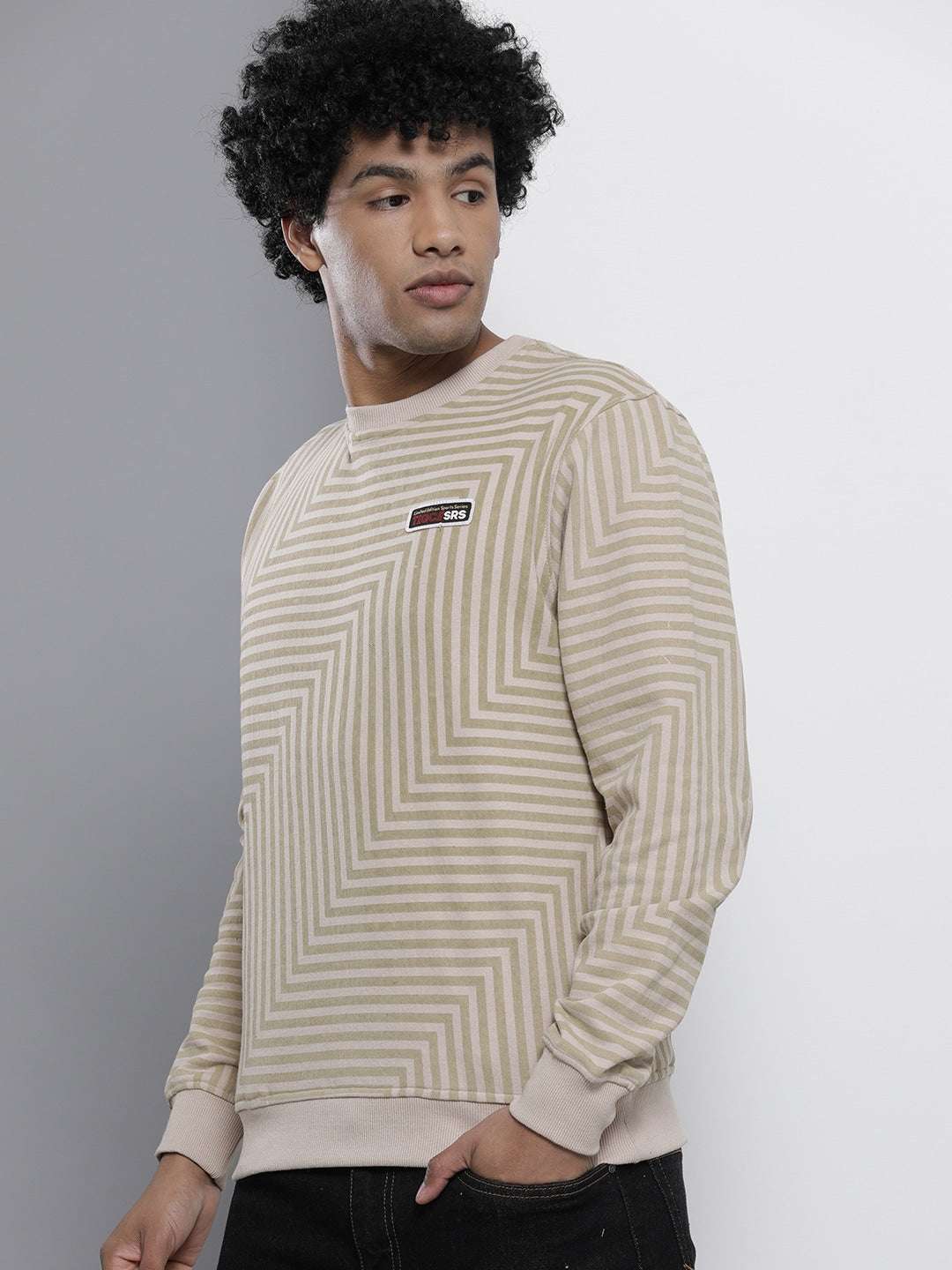 Shop Men's Striped Regular Fit Sweatshirt Online.