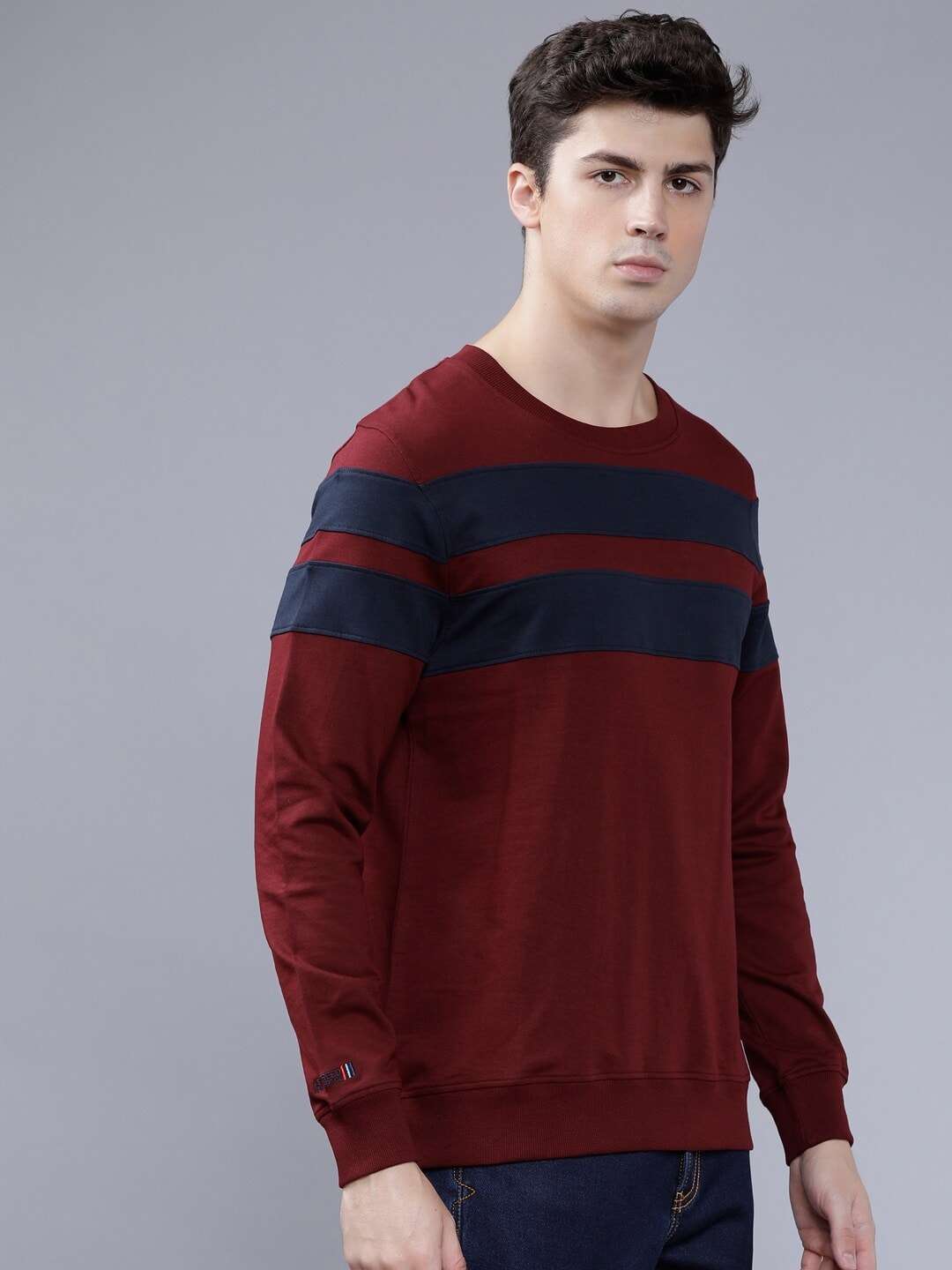 Shop Men's Striped Slim Fit Sweatshirt Online.